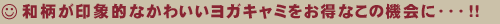 和柄が印象的なかわいいヨガキャミをお得なこの機会に・・・!!